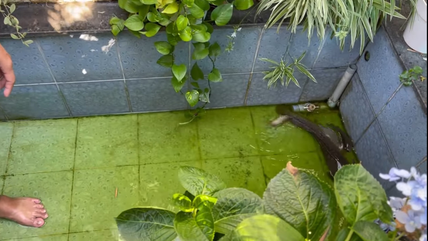 Mạc Văn Khoa lần đầu nói về việc mua nhà 50 tỷ đồng ở khu 'đất vàng' ảnh 1