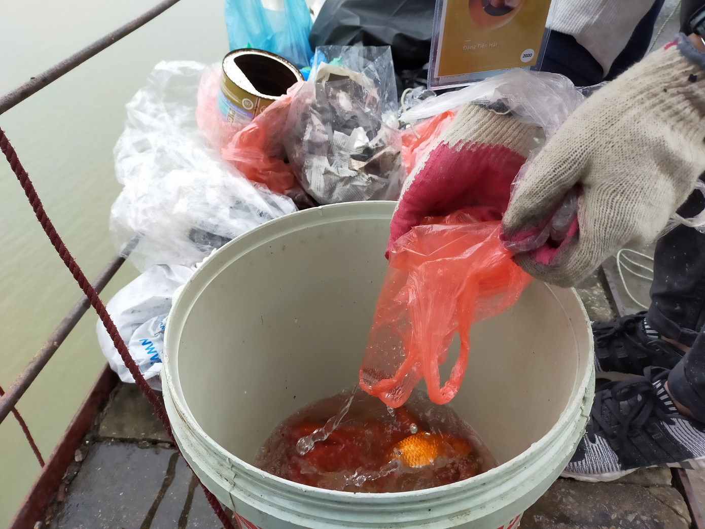 Bạn trẻ thiết kế 'thang máy' thả cá chép trong ngày ông Công ông Táo ảnh 3