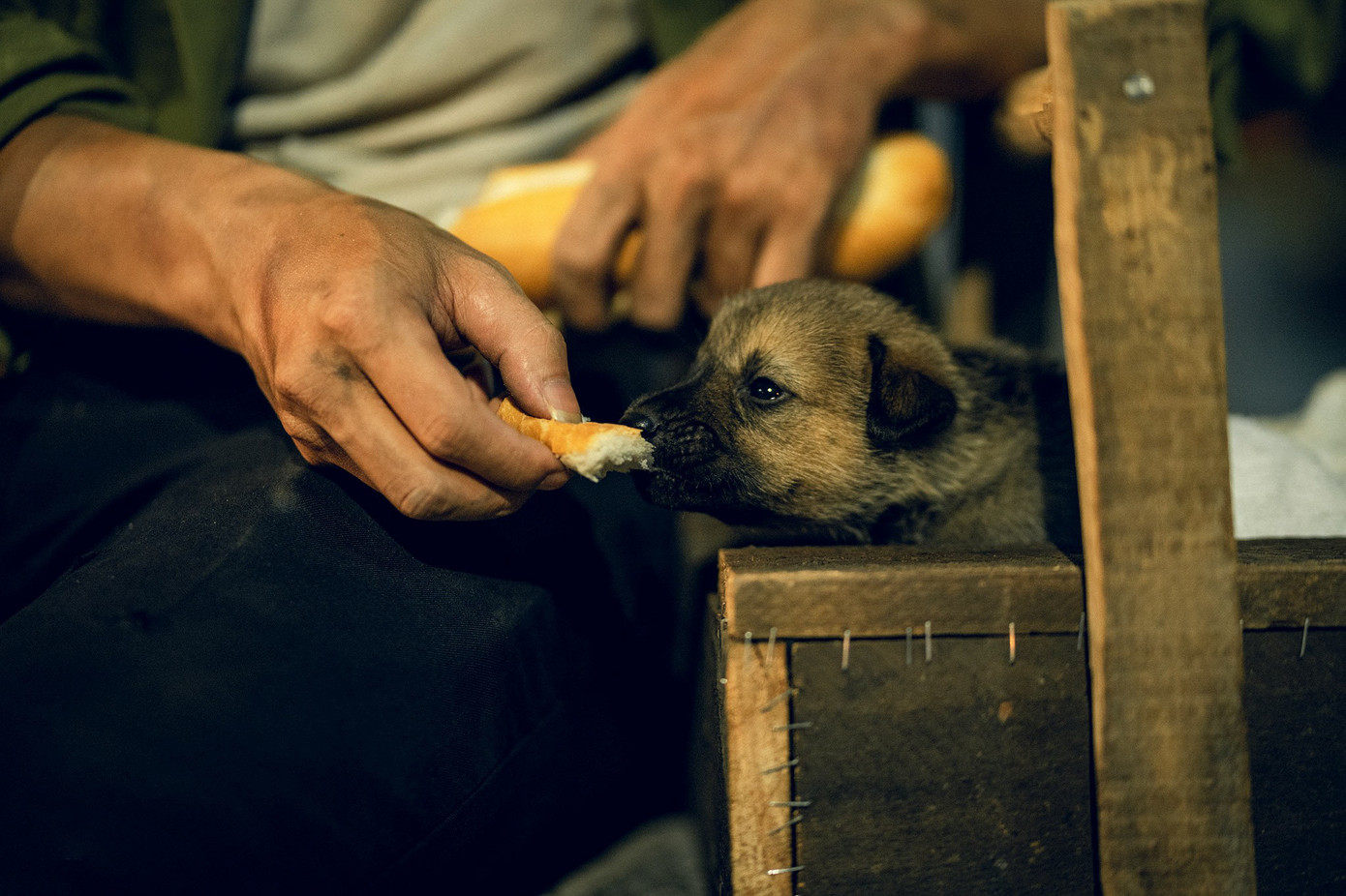 ‘Trung thu nhất định ba sẽ về’ - bộ ảnh cảm động của nhiếp ảnh gia 9x ảnh 3