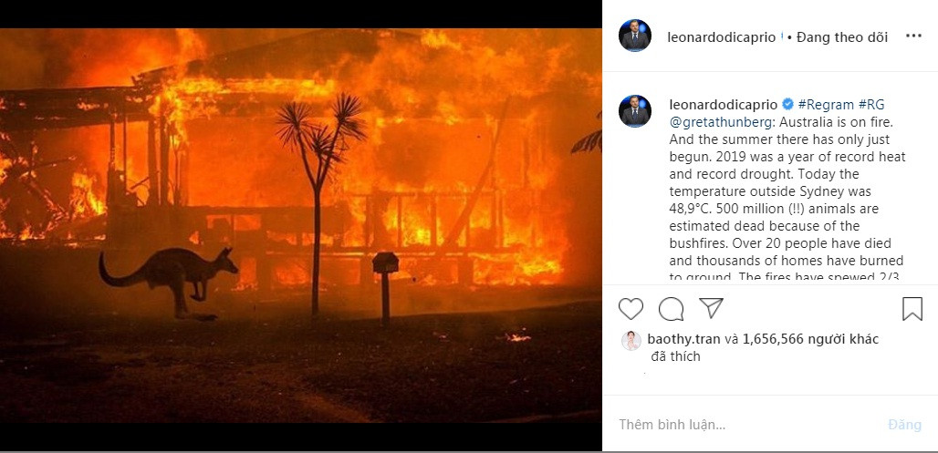 Leonardo Dicaprio và sao quốc tế kêu gọi ủng hộ Úc vì thảm hoạ cháy rừng ảnh 1