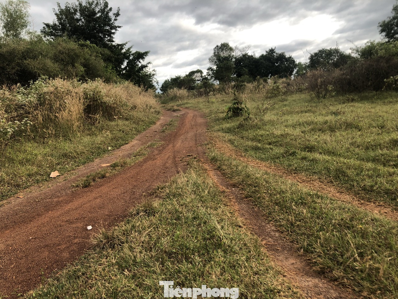 Khốn khổ vì dự án đô thị kết hợp công viên ‘đắp chiếu’ hơn 20 năm ảnh 4