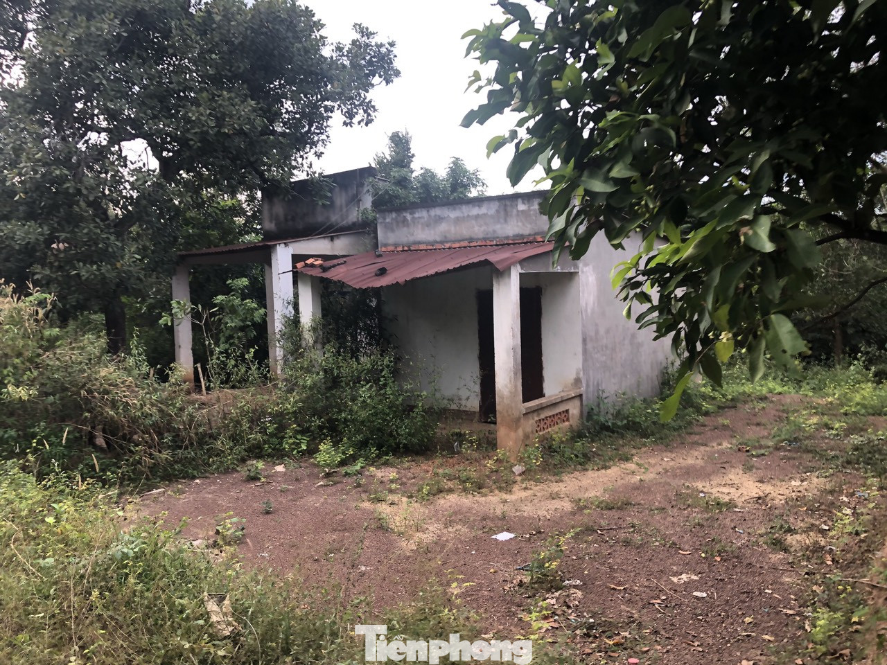 Khốn khổ vì dự án đô thị kết hợp công viên ‘đắp chiếu’ hơn 20 năm ảnh 2