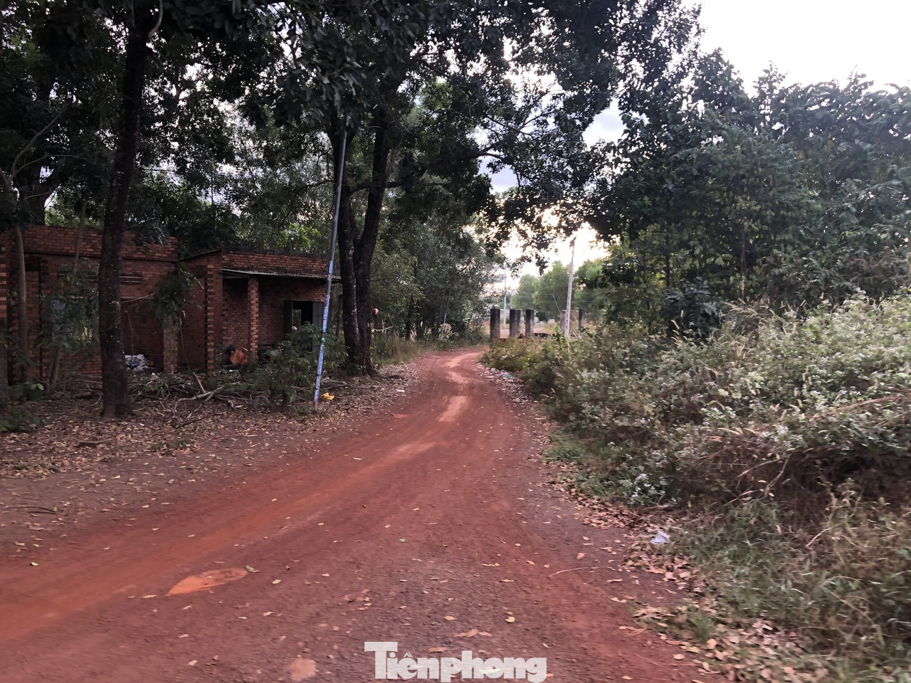 Khốn khổ vì dự án đô thị kết hợp công viên ‘đắp chiếu’ hơn 20 năm ảnh 3