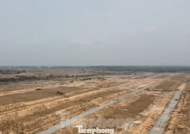 Mới nhất vụ nguyên Cục trưởng Thuế Bình Dương bị bắt giam ảnh 2