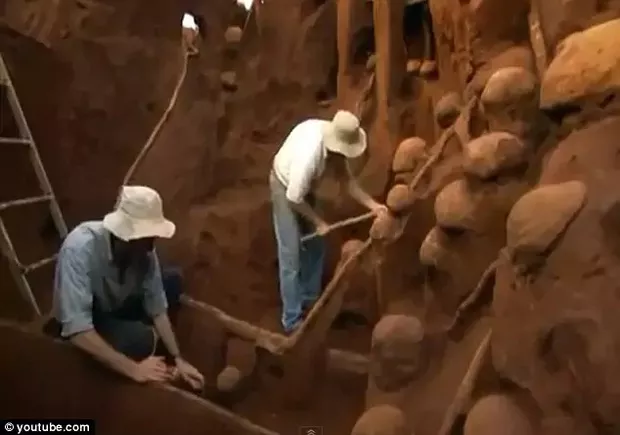 Kỳ lạ tổ kiến sau khi được đổ 10 tấn xi măng ảnh 2