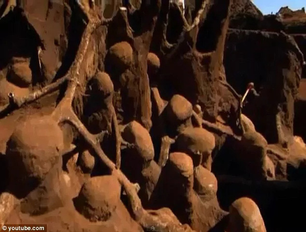 Kỳ lạ tổ kiến sau khi được đổ 10 tấn xi măng ảnh 3