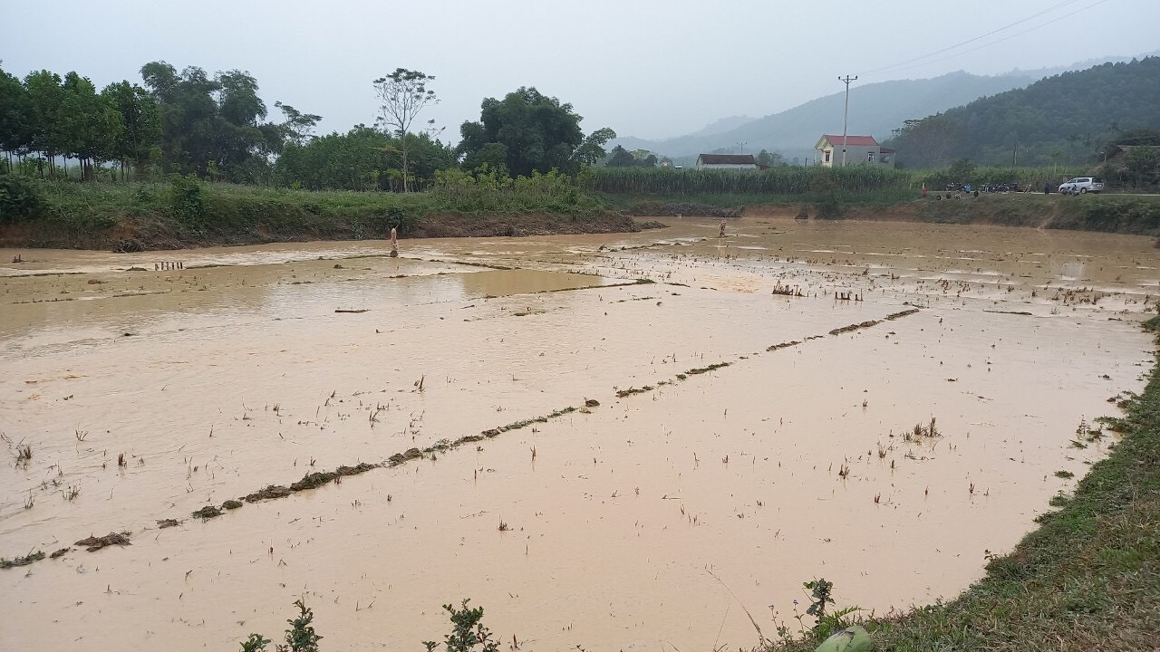 Vỡ kênh Bắc Sông Chu - Nam Sông Mã, đất sản xuất ngập nặng ảnh 4