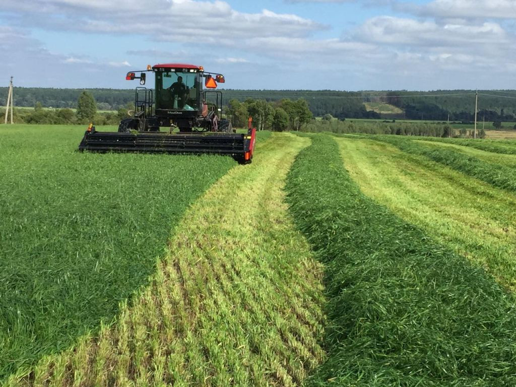 Chủ tịch Quốc hội thăm, biểu dương dự án của Tập đoàn TH tại Nga ảnh 3