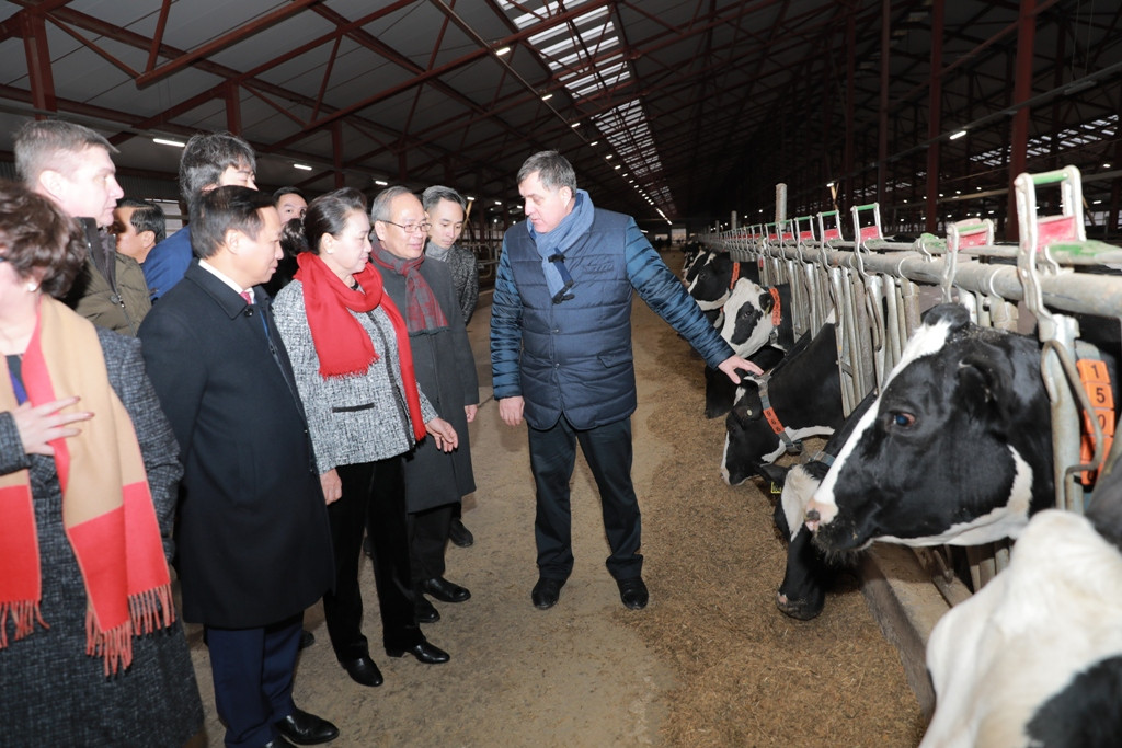 Chủ tịch Quốc hội thăm, biểu dương dự án của Tập đoàn TH tại Nga ảnh 1