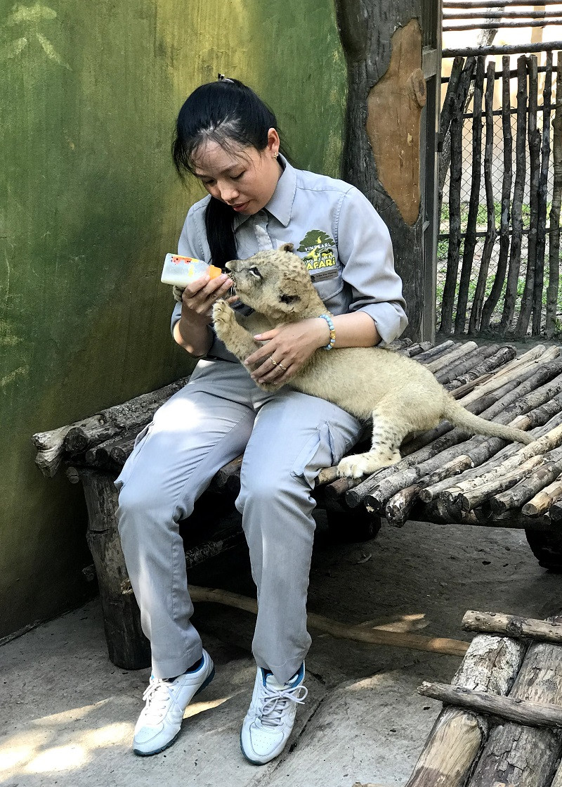 Những 'bảo mẫu' thầm lặng tại Vinpearl Safari ảnh 1