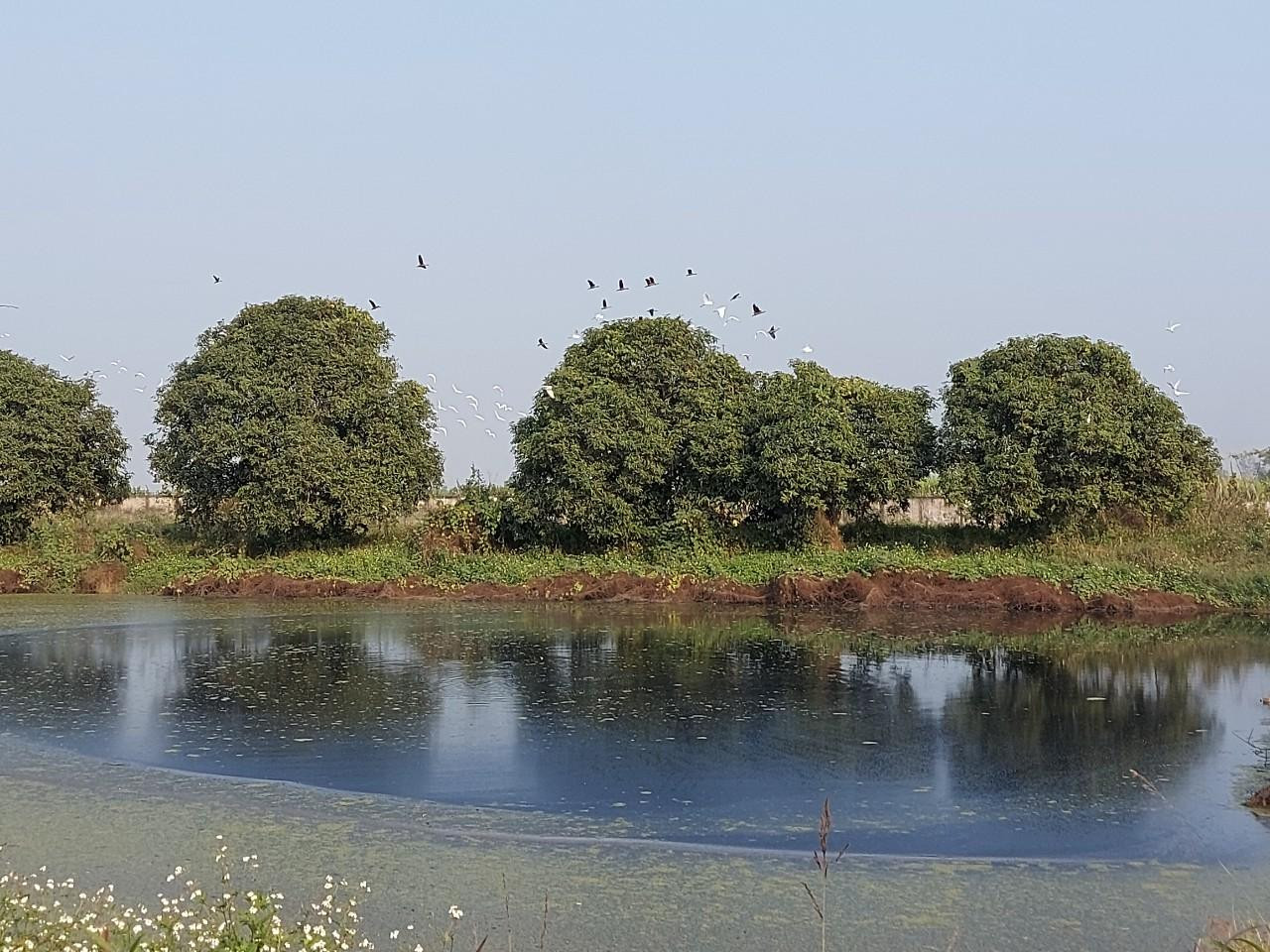 Thanh niên nghĩ gì khi thăm quan các sáng kiến phát triển bền vững của các doanh nghiệp? ảnh 2