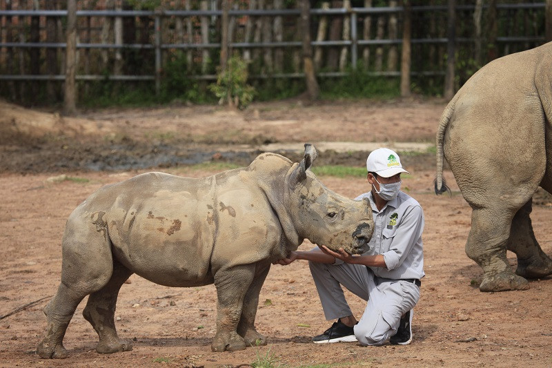 Những 'bảo mẫu' thầm lặng tại Vinpearl Safari ảnh 3