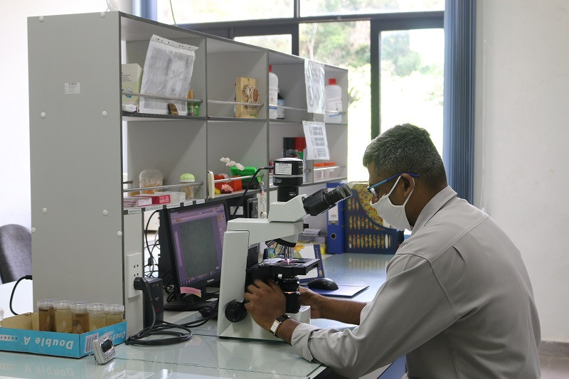 Những 'bảo mẫu' thầm lặng tại Vinpearl Safari ảnh 5