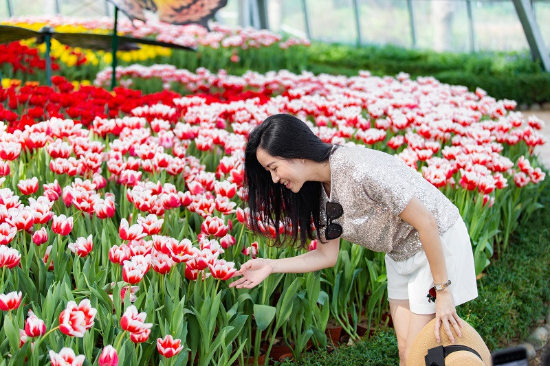 Rực rỡ lễ hội pháo hoa đón năm mới tại Dạ tiệc Vinpearl ba miền ảnh 14