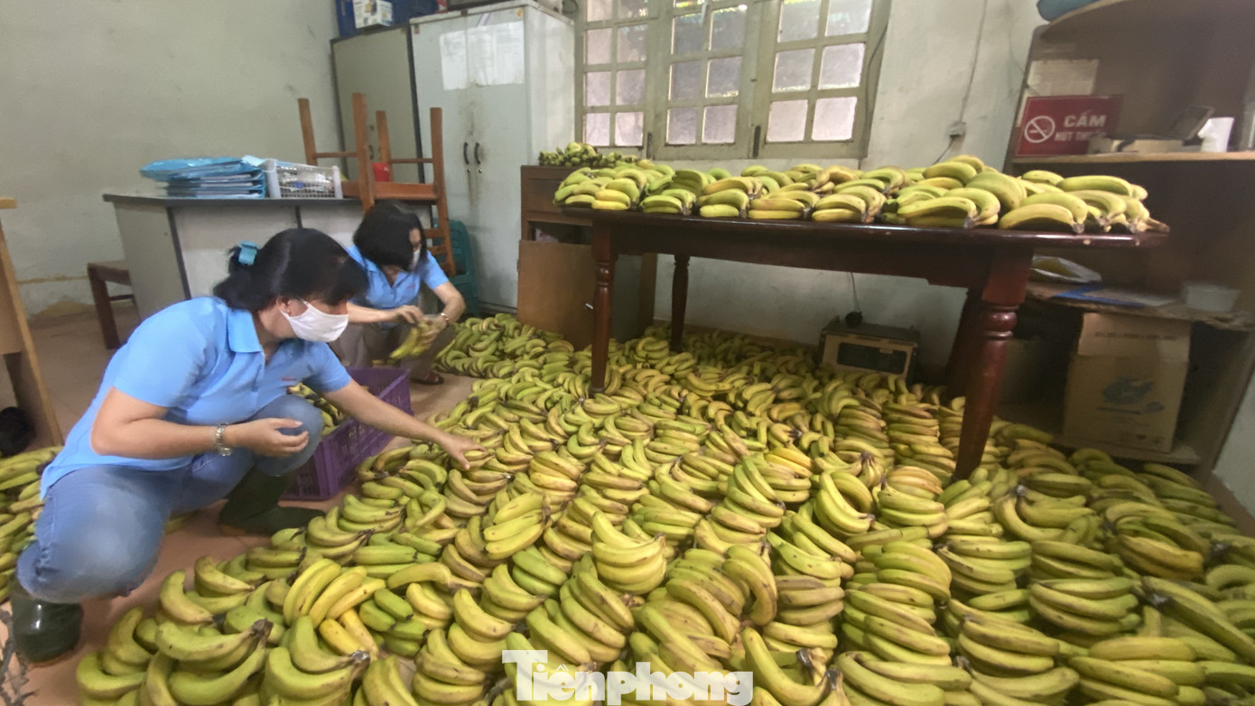 Người dân TPHCM góp hàng tấn rau củ quả 'cứu đói' bầy thú Thảo Cầm Viên mùa dịch COVID-19 ảnh 8