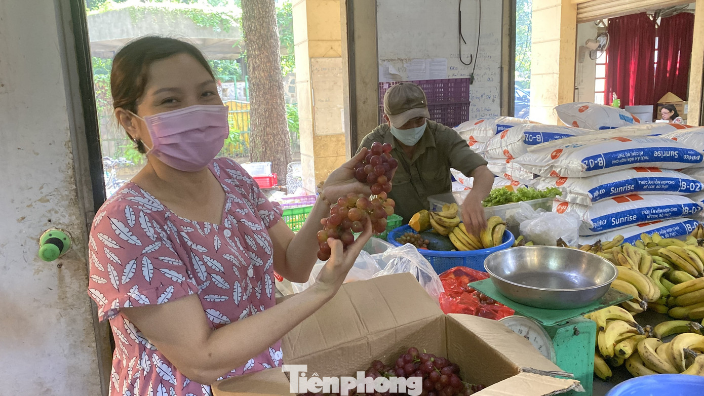Người dân TPHCM góp hàng tấn rau củ quả 'cứu đói' bầy thú Thảo Cầm Viên mùa dịch COVID-19 ảnh 13