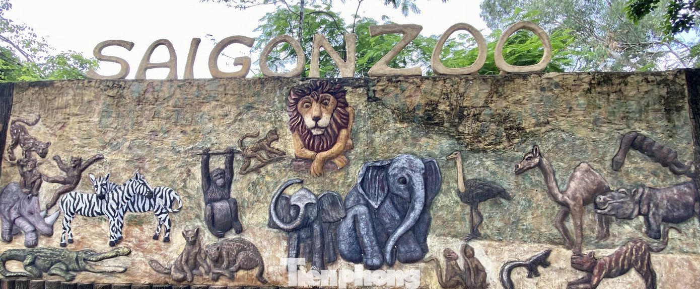 Người dân TPHCM góp hàng tấn rau củ quả 'cứu đói' bầy thú Thảo Cầm Viên mùa dịch COVID-19 ảnh 1