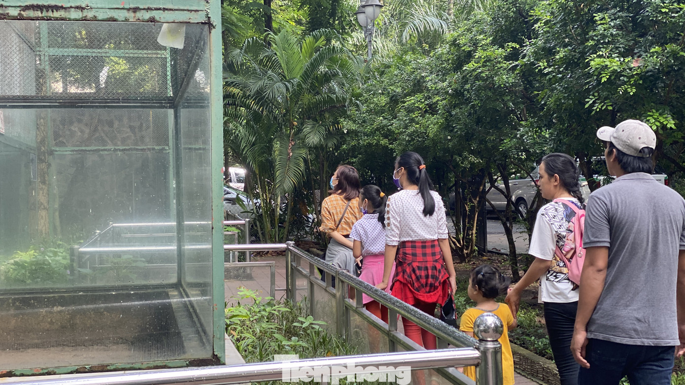 Người dân TPHCM góp hàng tấn rau củ quả 'cứu đói' bầy thú Thảo Cầm Viên mùa dịch COVID-19 ảnh 3