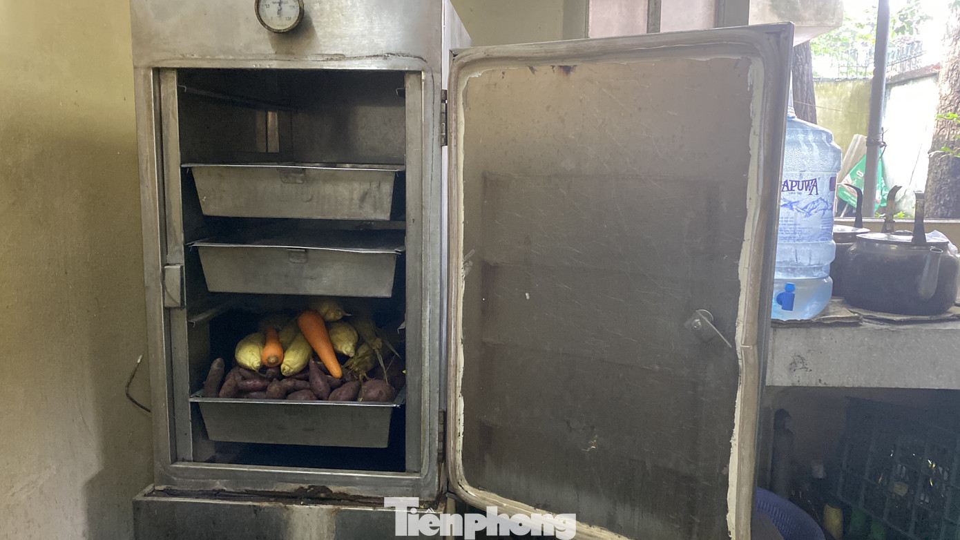 Người dân TPHCM góp hàng tấn rau củ quả 'cứu đói' bầy thú Thảo Cầm Viên mùa dịch COVID-19 ảnh 15