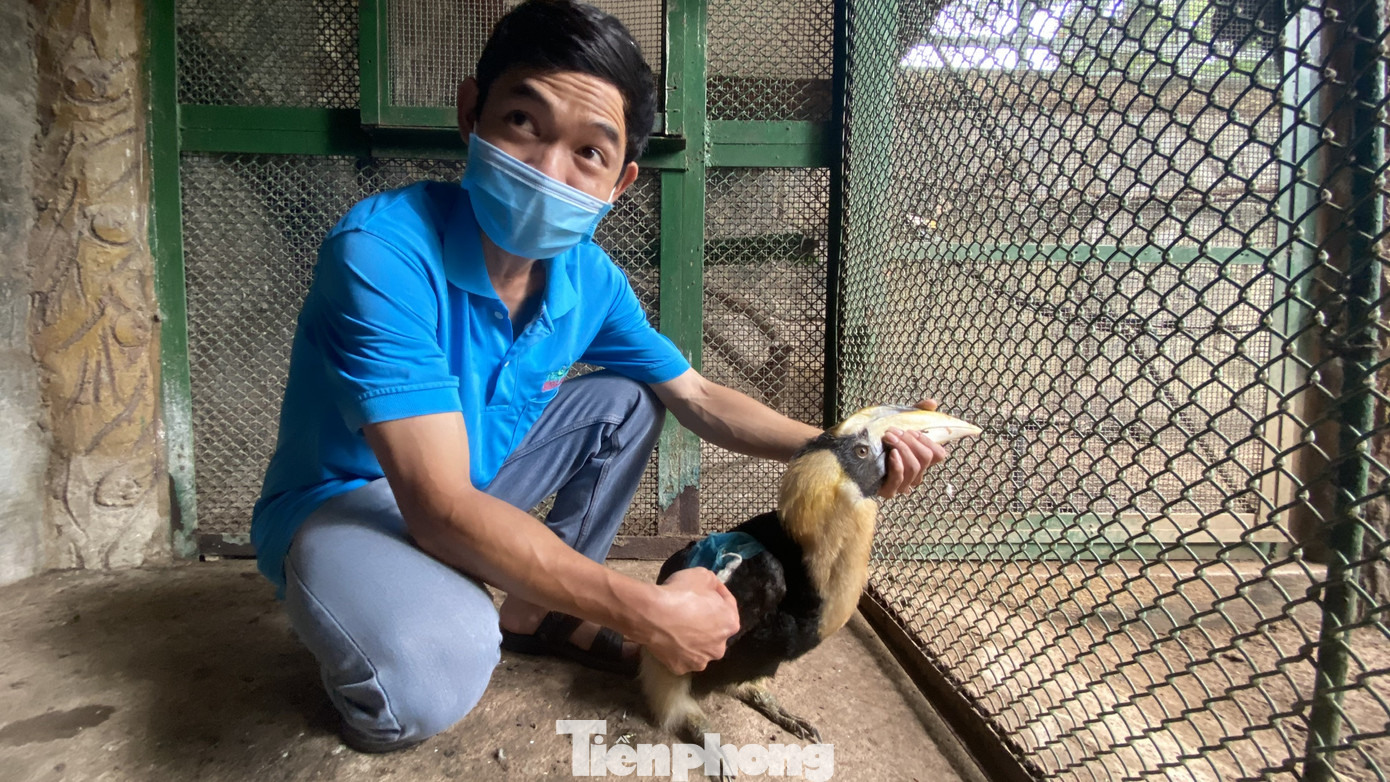 Người dân TPHCM góp hàng tấn rau củ quả 'cứu đói' bầy thú Thảo Cầm Viên mùa dịch COVID-19 ảnh 19