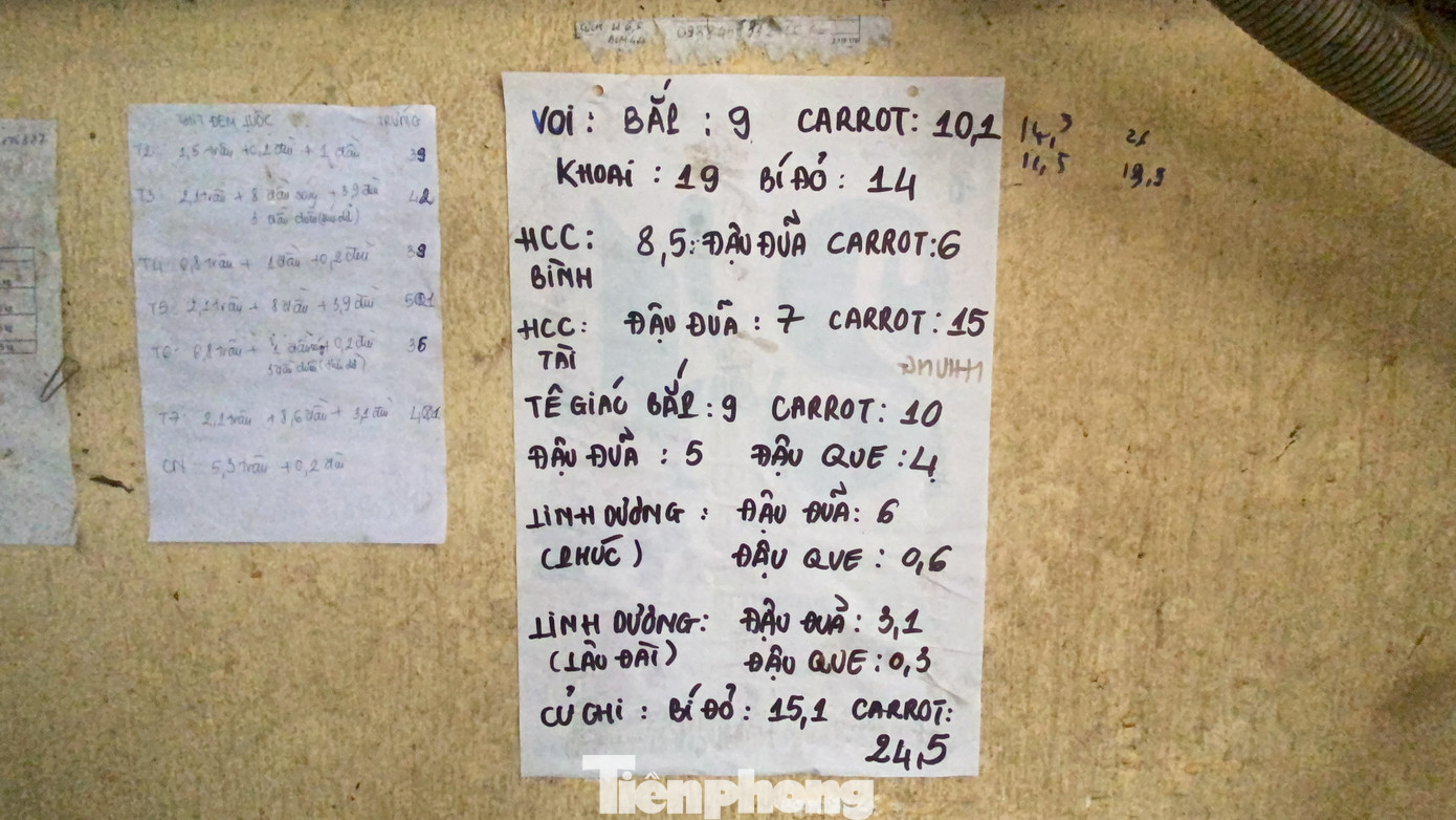 Người dân TPHCM góp hàng tấn rau củ quả 'cứu đói' bầy thú Thảo Cầm Viên mùa dịch COVID-19 ảnh 14