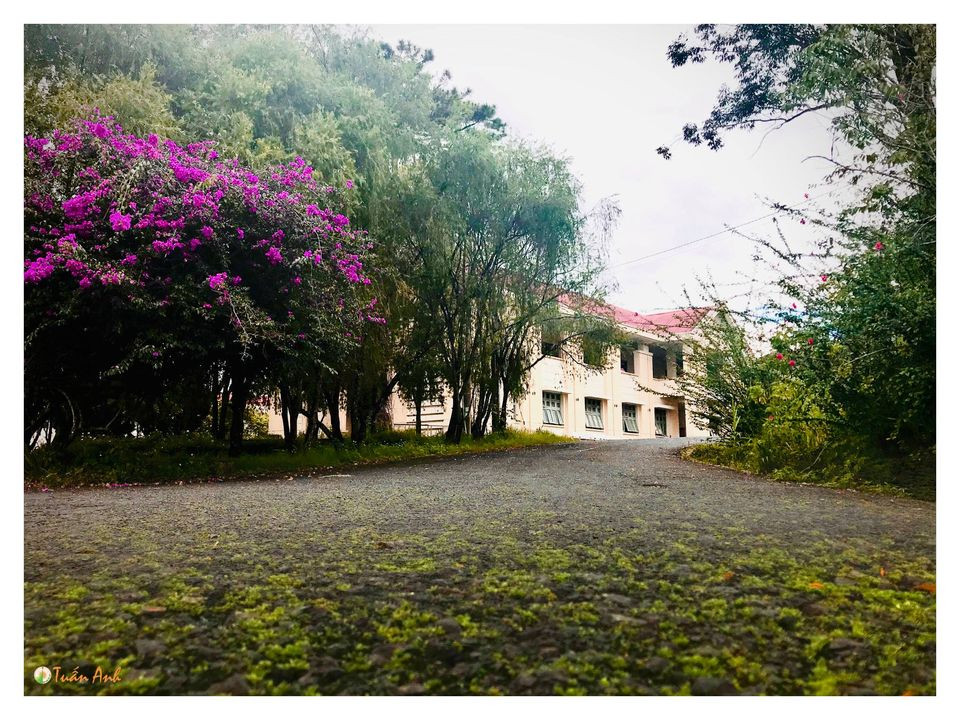 Đẹp mê hồn bộ ảnh về trường ĐH Đà Lạt của chàng Bí thư Đoàn trường ảnh 30