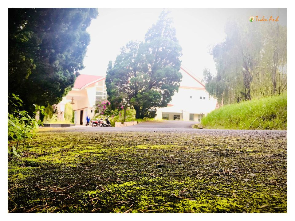 Đẹp mê hồn bộ ảnh về trường ĐH Đà Lạt của chàng Bí thư Đoàn trường ảnh 27