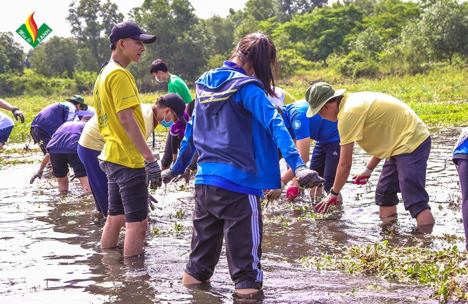 Hội Sinh viên ĐH Mở TP. HCM: Tập huấn chiến dịch “Mùa Hè Xanh" 2020 ảnh 5