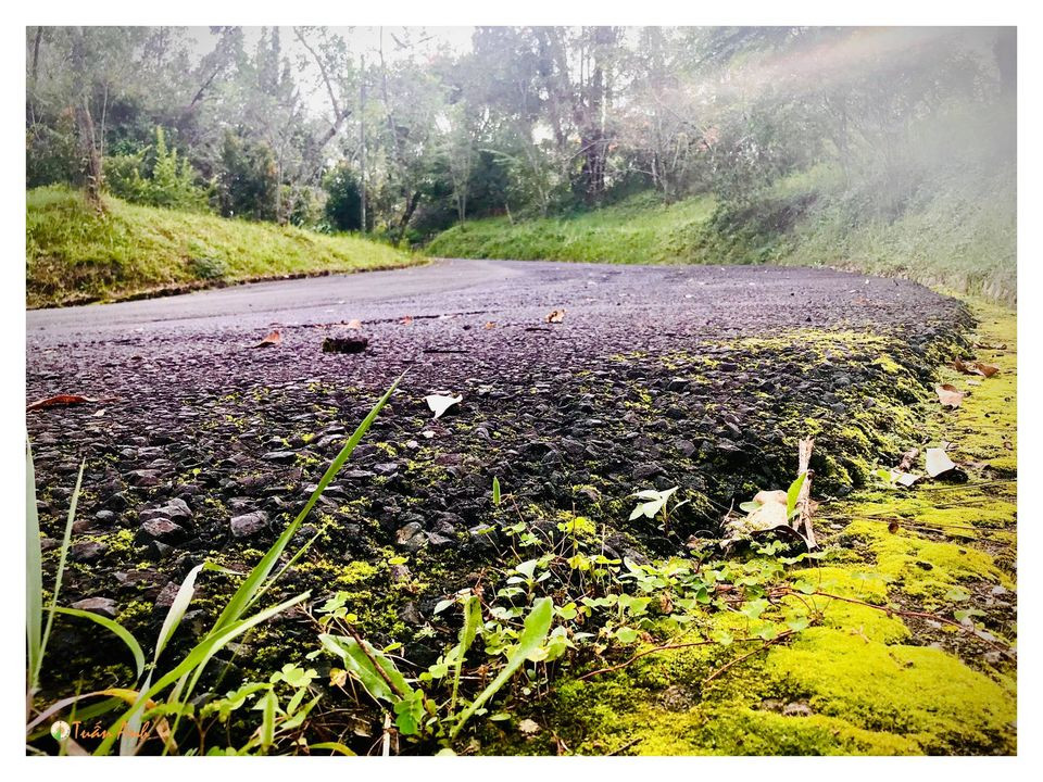 Đẹp mê hồn bộ ảnh về trường ĐH Đà Lạt của chàng Bí thư Đoàn trường ảnh 15