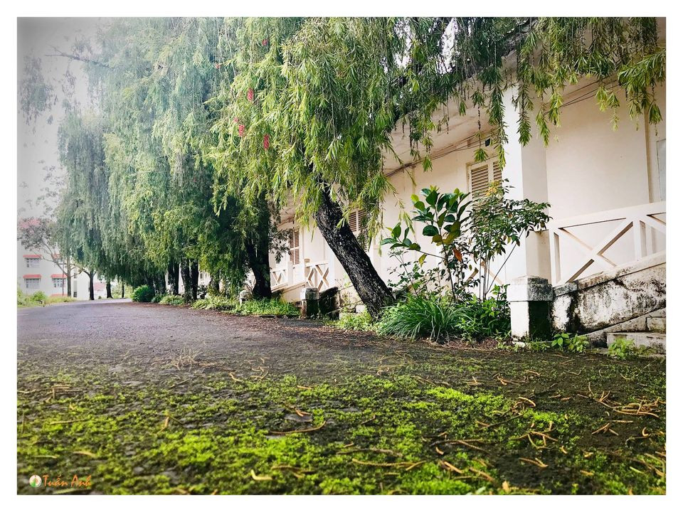 Đẹp mê hồn bộ ảnh về trường ĐH Đà Lạt của chàng Bí thư Đoàn trường ảnh 26