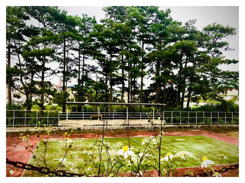 Đẹp mê hồn bộ ảnh về trường ĐH Đà Lạt của chàng Bí thư Đoàn trường ảnh 12