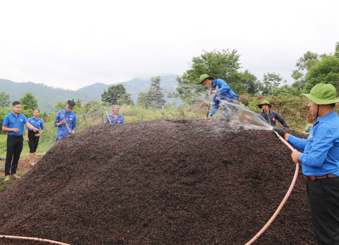 Rầm rộ tuyển quân cho "Mùa Hè Xanh" ảnh 6
