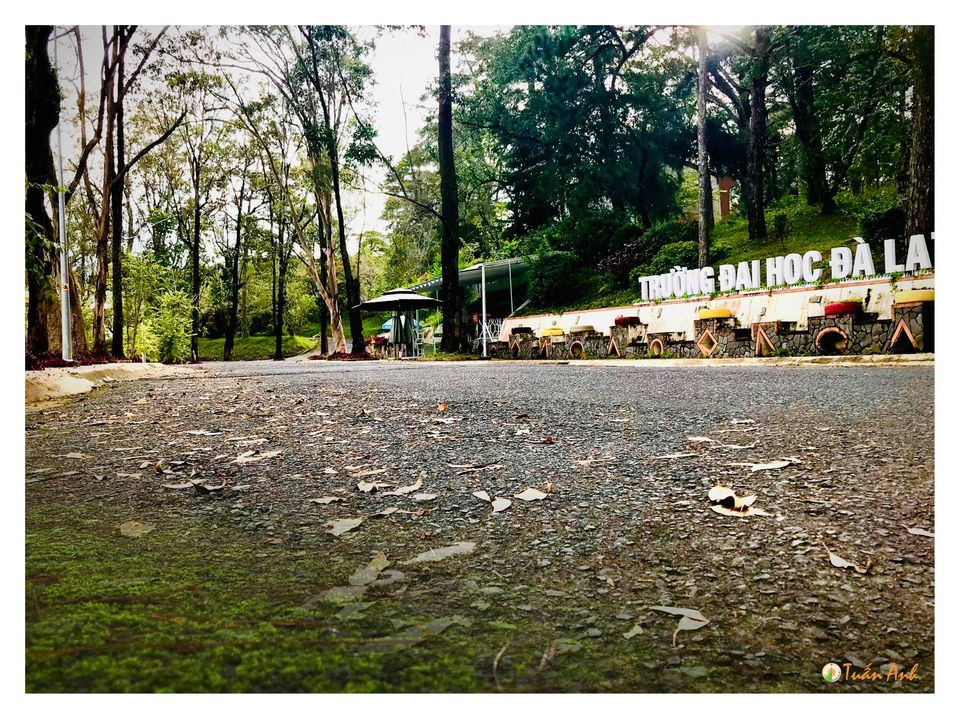 Đẹp mê hồn bộ ảnh về trường ĐH Đà Lạt của chàng Bí thư Đoàn trường ảnh 1