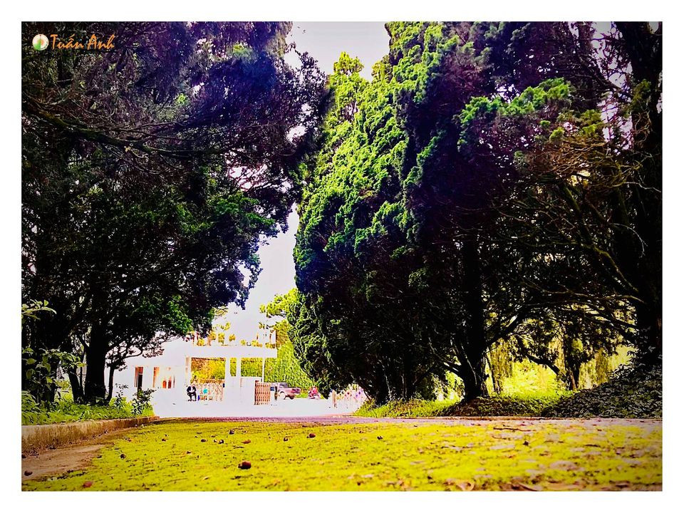 Đẹp mê hồn bộ ảnh về trường ĐH Đà Lạt của chàng Bí thư Đoàn trường ảnh 4