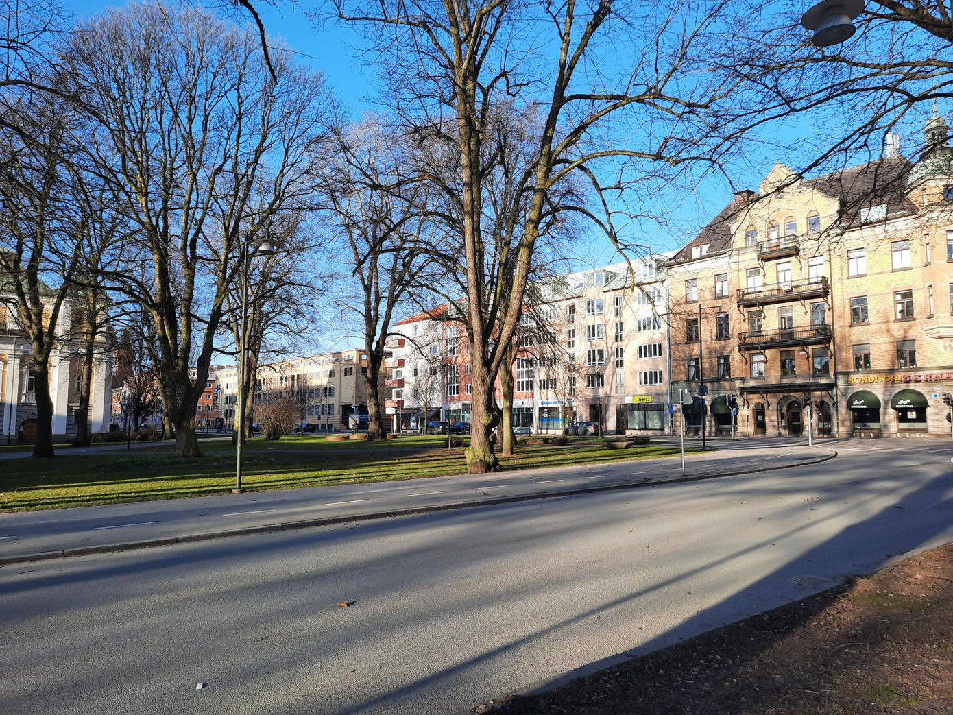 Mình đã sống chung với đại dịch COVID-19 tại Thụy Điển như thế nào? ảnh 9