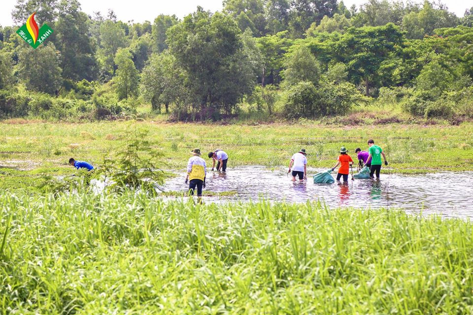 Hội Sinh viên ĐH Mở TP. HCM: Tập huấn chiến dịch “Mùa Hè Xanh" 2020 ảnh 11