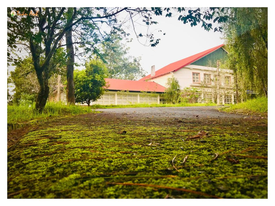 Đẹp mê hồn bộ ảnh về trường ĐH Đà Lạt của chàng Bí thư Đoàn trường ảnh 14