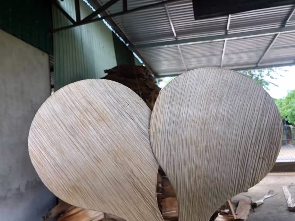 Biến mo cau thành... tiền ảnh 4