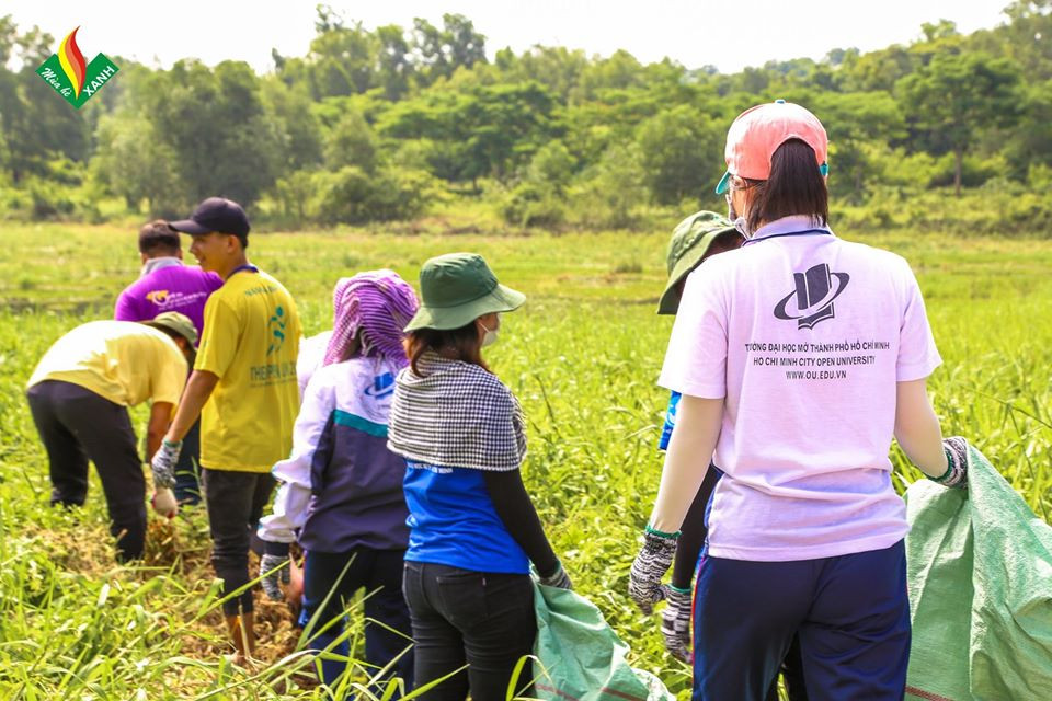 Hội Sinh viên ĐH Mở TP. HCM: Tập huấn chiến dịch “Mùa Hè Xanh" 2020 ảnh 8