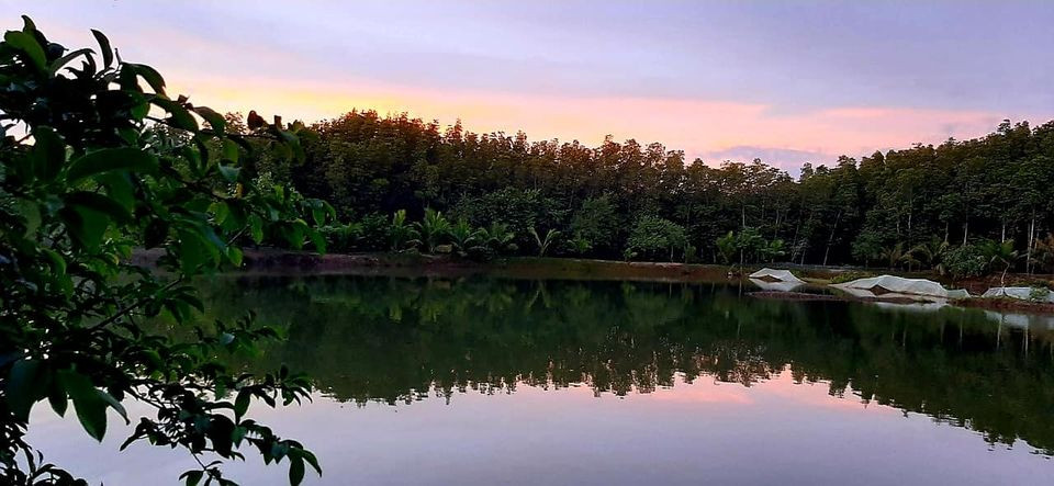 Trương Minh Hòa: “Mình muốn phát triển du lịch Cần Giờ theo hướng bền vững” ảnh 7