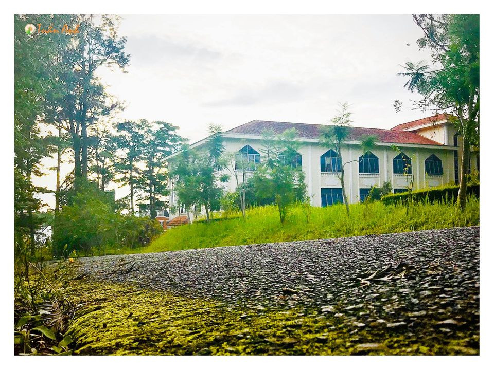 Đẹp mê hồn bộ ảnh về trường ĐH Đà Lạt của chàng Bí thư Đoàn trường ảnh 34