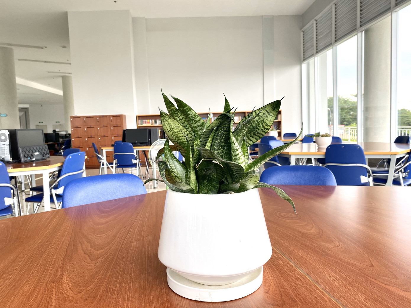 Hấp dẫn Ngày hội “Sách và bạn trẻ” tại Nhà văn hóa sinh viên TP. HCM ảnh 5