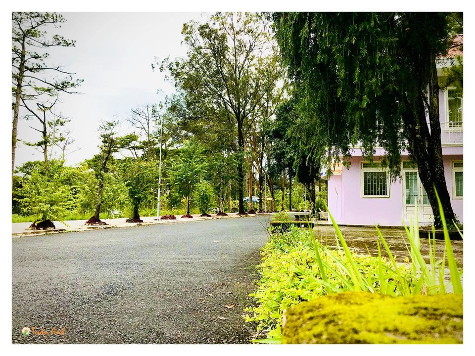 Đẹp mê hồn bộ ảnh về trường ĐH Đà Lạt của chàng Bí thư Đoàn trường ảnh 24