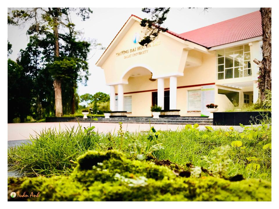 Đẹp mê hồn bộ ảnh về trường ĐH Đà Lạt của chàng Bí thư Đoàn trường ảnh 33