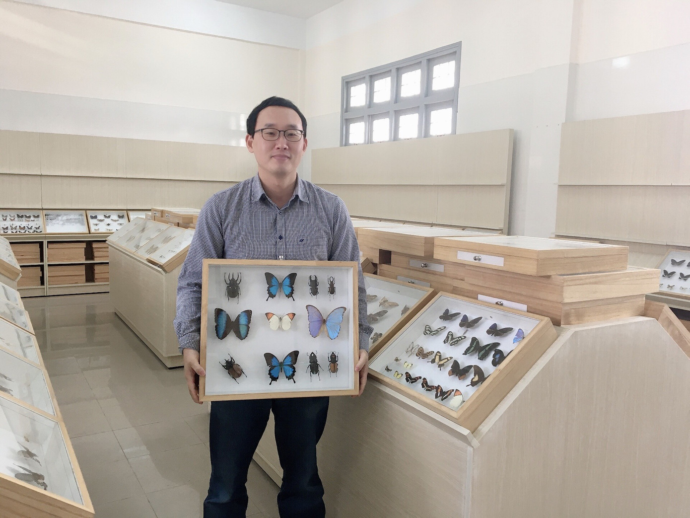 Gặp thầy giáo Hàn Quốc xây dựng bảo tàng Côn trùng tại Việt Nam ảnh 1