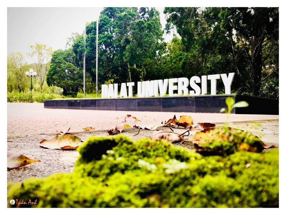 Đẹp mê hồn bộ ảnh về trường ĐH Đà Lạt của chàng Bí thư Đoàn trường ảnh 3