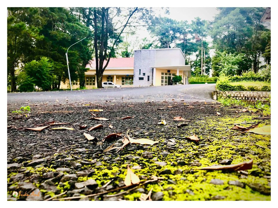 Đẹp mê hồn bộ ảnh về trường ĐH Đà Lạt của chàng Bí thư Đoàn trường ảnh 20