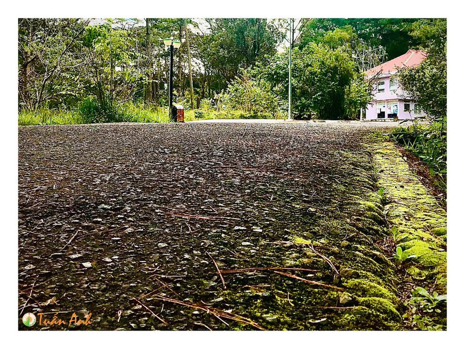 Đẹp mê hồn bộ ảnh về trường ĐH Đà Lạt của chàng Bí thư Đoàn trường ảnh 10