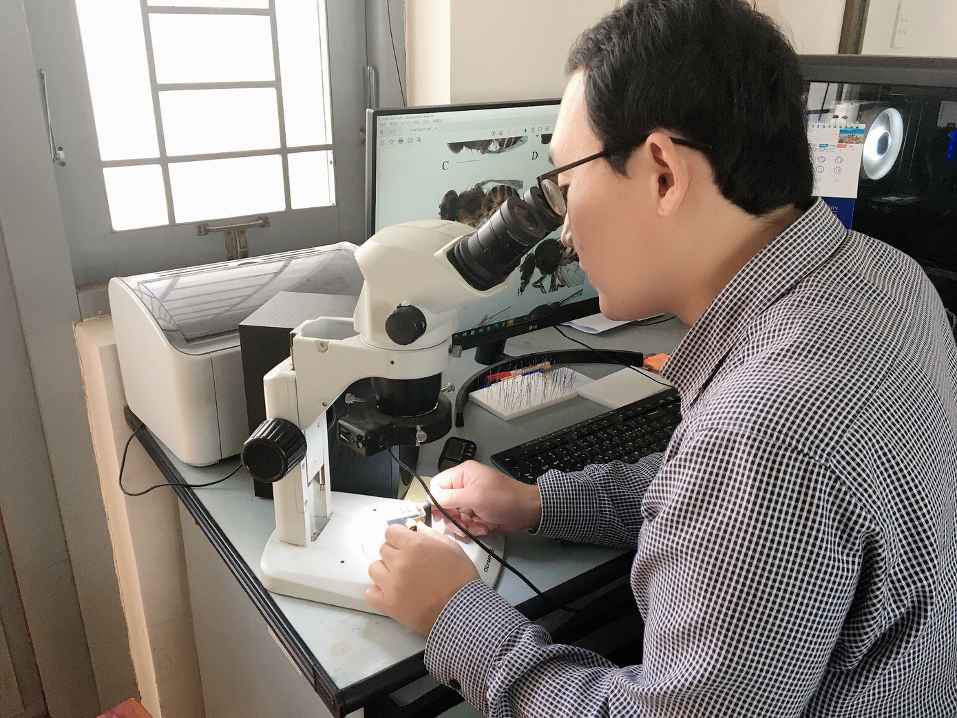 Gặp thầy giáo Hàn Quốc xây dựng bảo tàng Côn trùng tại Việt Nam ảnh 2