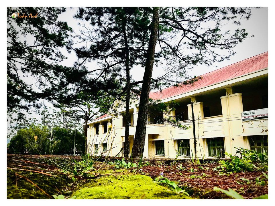 Đẹp mê hồn bộ ảnh về trường ĐH Đà Lạt của chàng Bí thư Đoàn trường ảnh 23